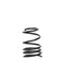 2015-2020 Lexus RC F Swift Sport Springs SPEC-R - Swift Springs