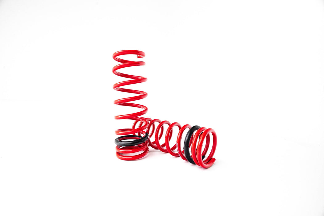 2009-2010 Nissan GTR Swift Sport Springs - Swift Springs