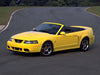 Yellow 2003-2004 Ford Mustang Cobra convertible on a track.