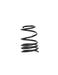 2017-2020 Ford Focus RS Swift Sport Springs SPEC-R - Swift Springs